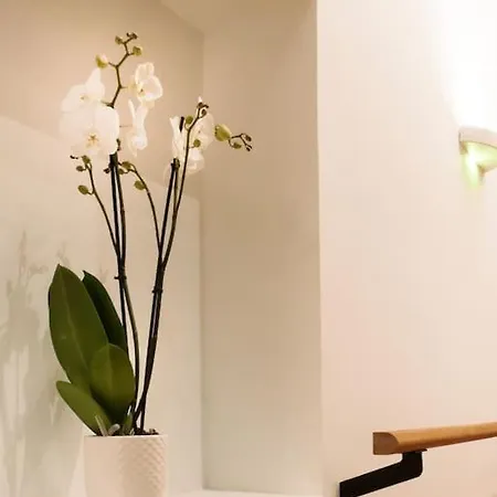 L'arabesque, De Charme Avec Piscine Arradon